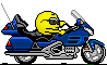 motor bike