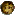 biscuit